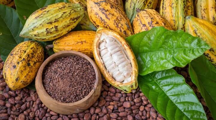 La Côte-d’Ivoire est-elle sur le point de perdre sa place de 1er producteur mondial de cacao ?