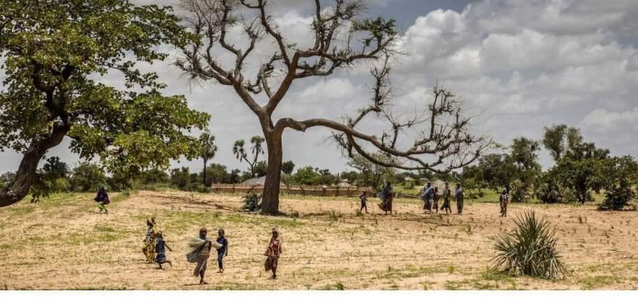 La restauration des terres dégradées en Afrique progresse lentement et nécessite des efforts accrus (FAO)