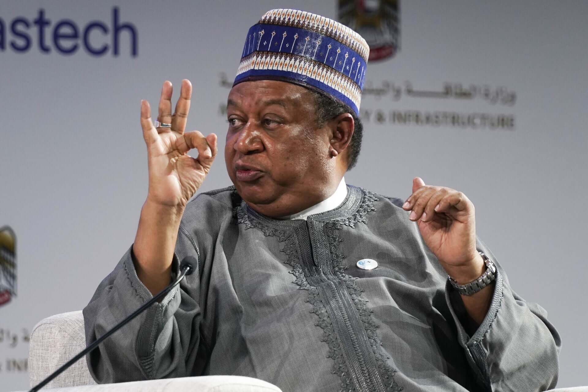 Le chef de l’OPEP avertit sur les menaces de la « transition énergétique » pour les réserves pétrolières africaines