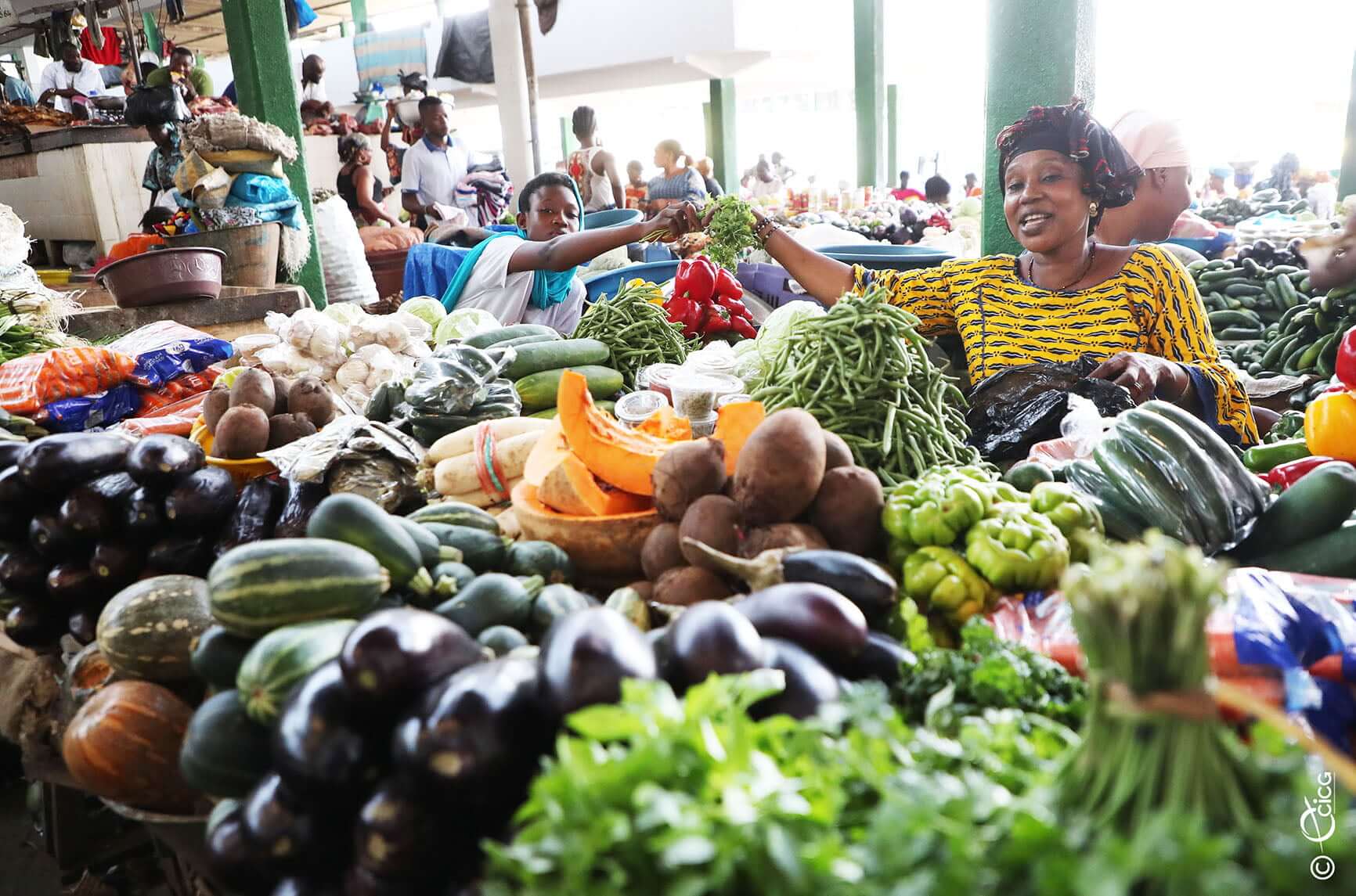 Sécurité alimentaire/vivriers: La chaîne de production et d’approvisionnement en Côte-d’Ivoire renforcée