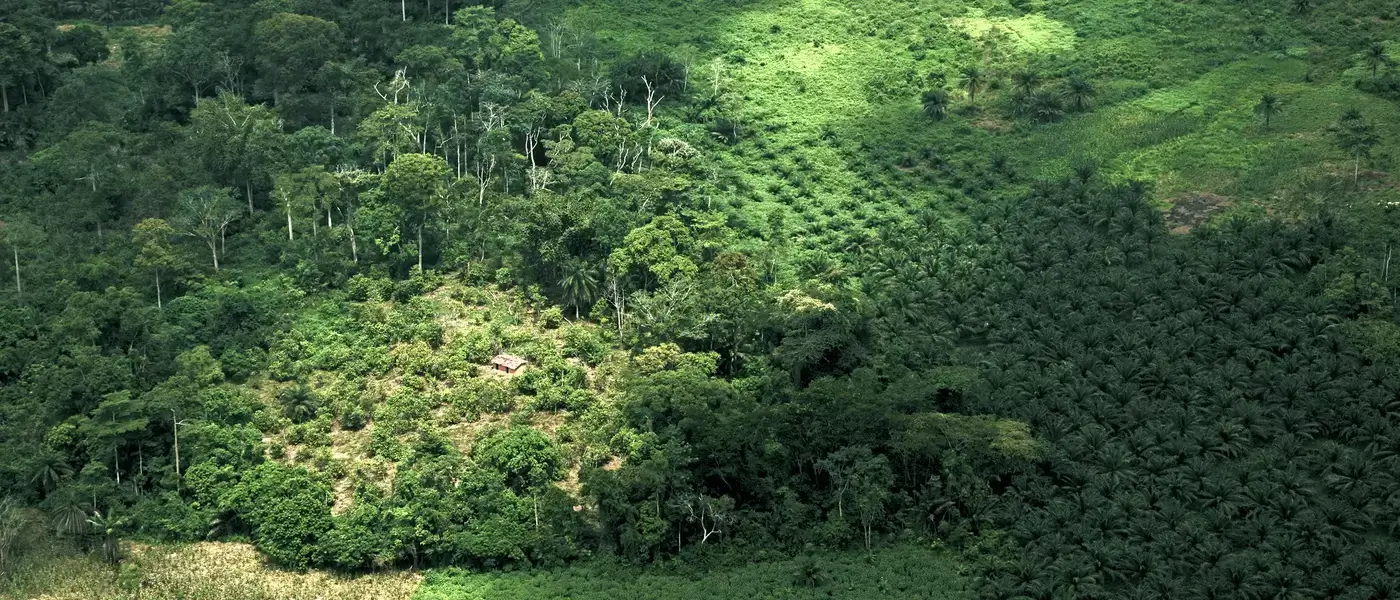 La 15ème Conférence des Parties (COP15) contre la désertification (UNCCD) se tiendra à Abidjan du 9 au 20 mai